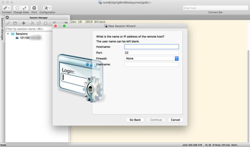 軟件開發 從概念到實現的藝術與科學